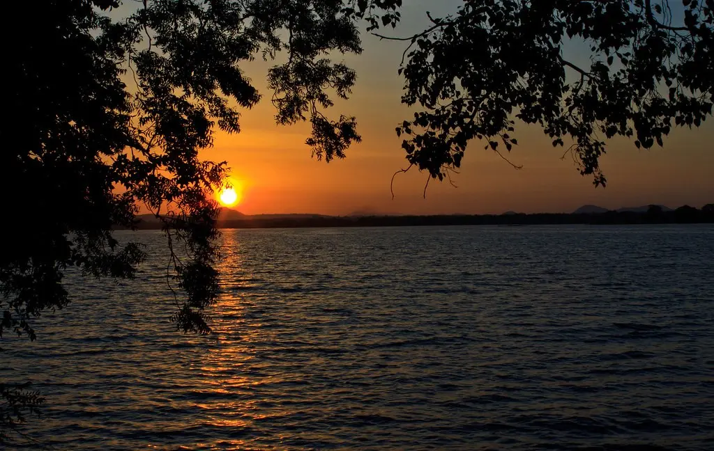 Evening wildlife safari at Minneriya or Kaudulla