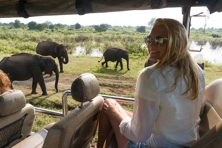 Guests viewing elephants during morning safari