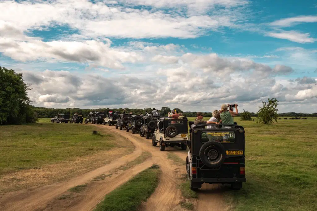 Safari jeeps on Udawalawe trail